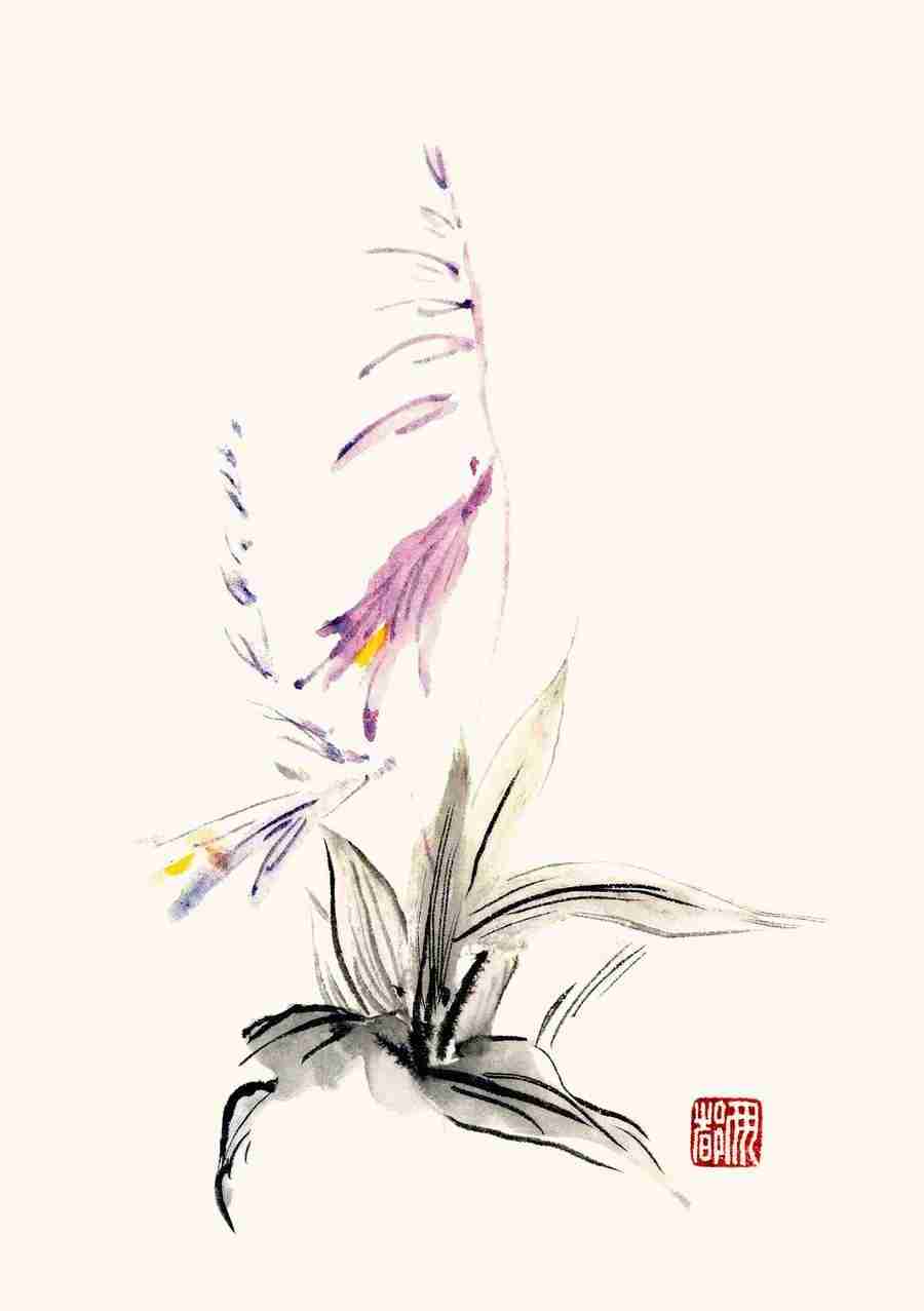 Illustration Sumie - DAJ Digital Images ></a>
<script language=JavaScript> 
  var txt = 