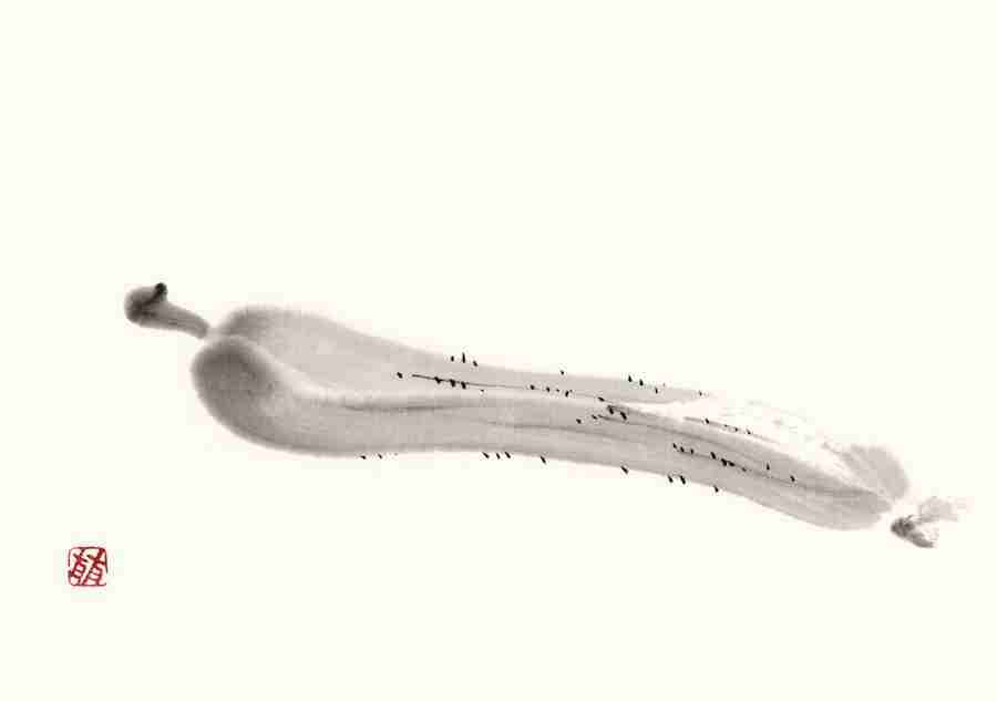 Illustration Sumie - DAJ Digital Images ></a>
<script language=JavaScript> 
  var txt = 