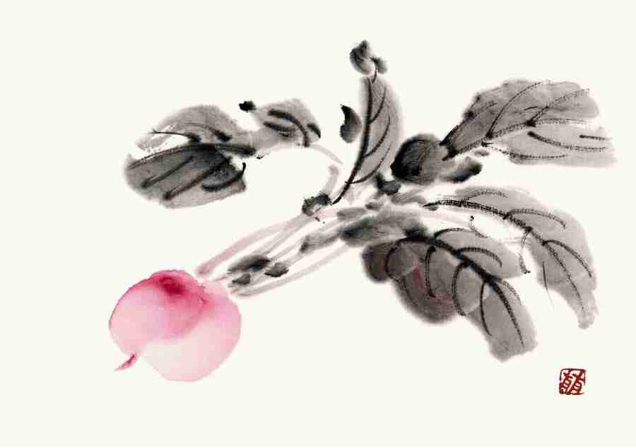 Illustration Sumie - DAJ Digital Images ></a>
<script language=JavaScript> 
  var txt = 