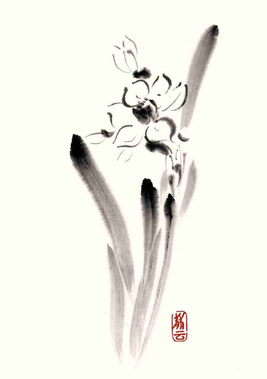 Illustration Sumie - DAJ Digital Images ></a>
<script language=JavaScript> 
  var txt = 