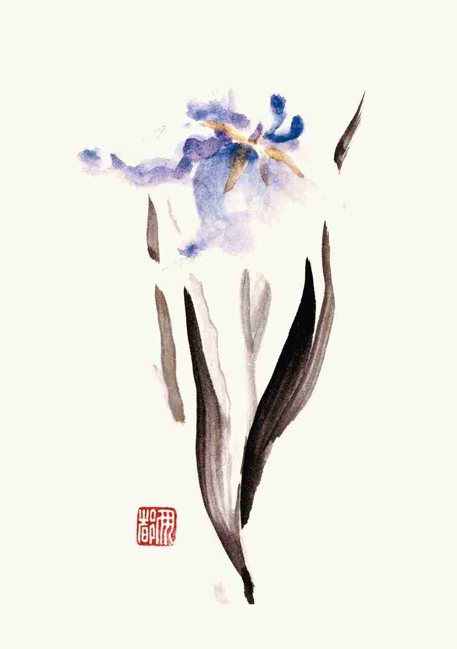 Illustration Sumie - DAJ Digital Images ></a>
<script language=JavaScript> 
  var txt = 