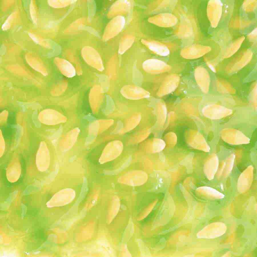 Fruits and Vegetables - Datacraft Isaijiten ></a>
<script language=JavaScript> 
  var txt = 