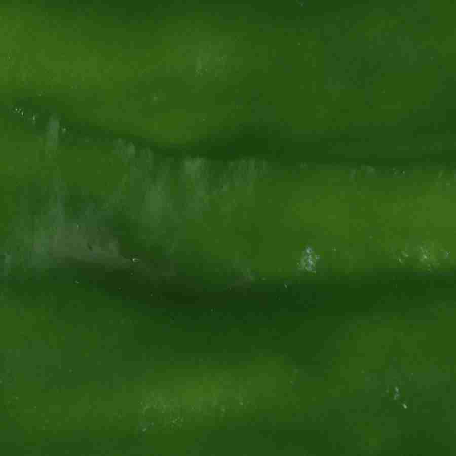 Fruits and Vegetables - Datacraft Isaijiten ></a>
<script language=JavaScript> 
  var txt = 