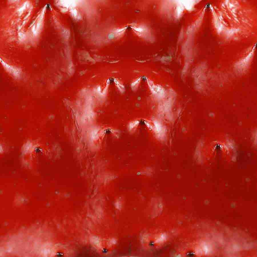 Meats and Fishes - Datacraft Isaijiten ></a>
<script language=JavaScript> 
  var txt = 