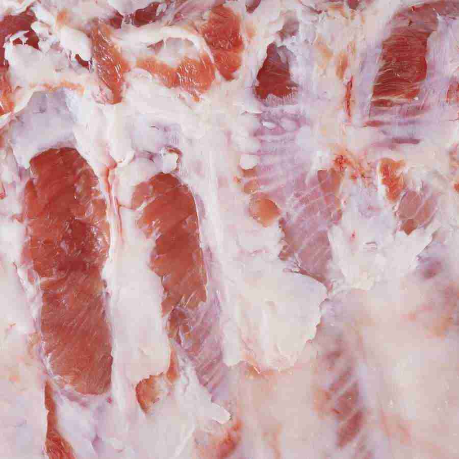 Meats and Fishes - Datacraft Isaijiten ></a>
<script language=JavaScript> 
  var txt = 