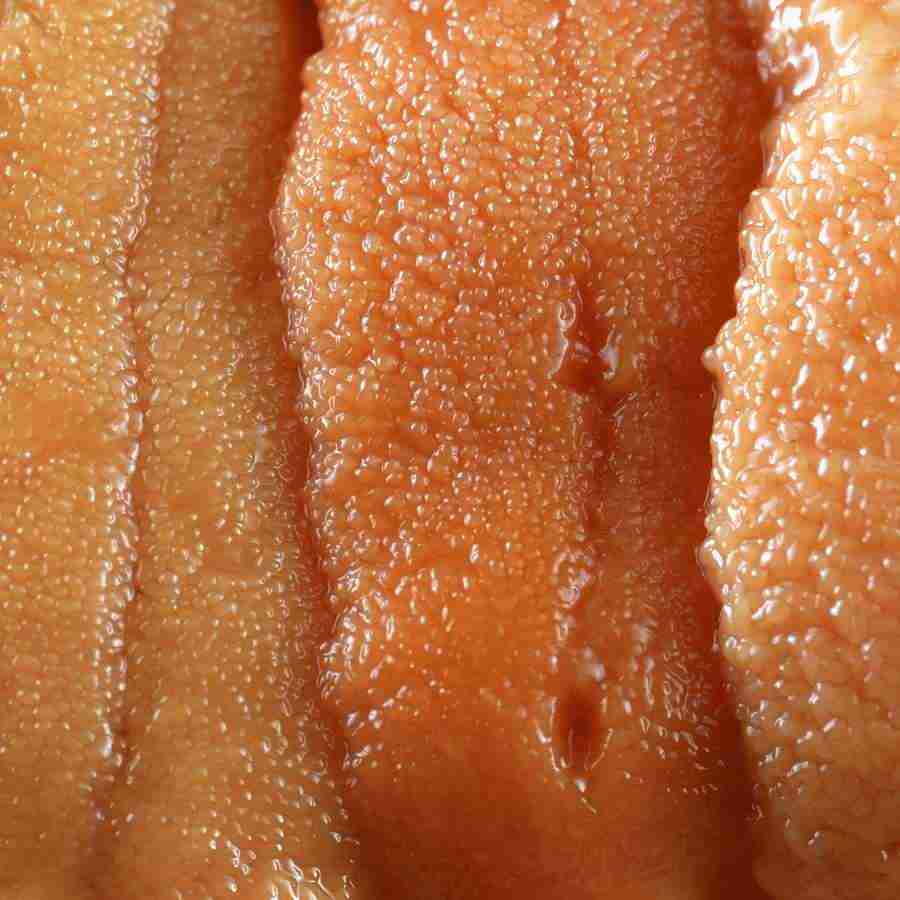 Meats and Fishes - Datacraft Isaijiten ></a>
<script language=JavaScript> 
  var txt = 