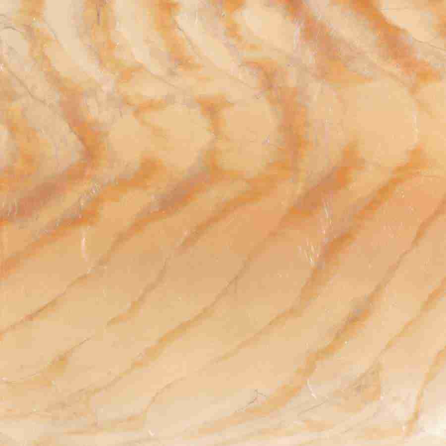 Meats and Fishes - Datacraft Isaijiten ></a>
<script language=JavaScript> 
  var txt = 