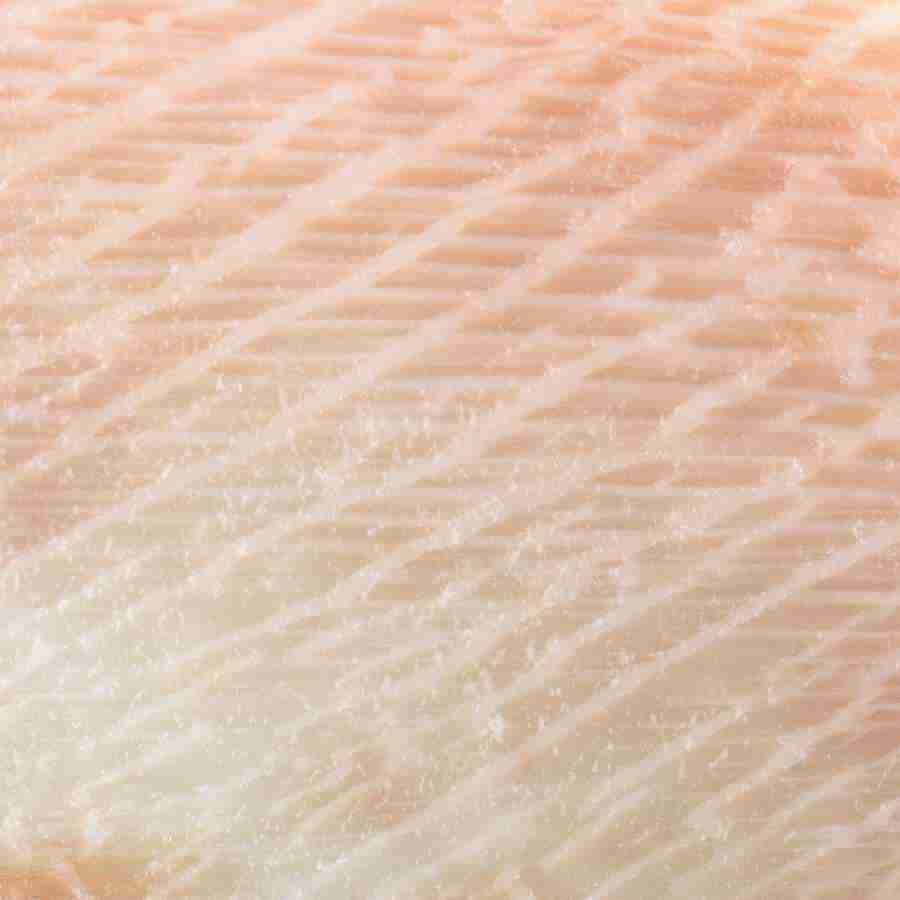 Meats and Fishes - Datacraft Isaijiten ></a>
<script language=JavaScript> 
  var txt = 