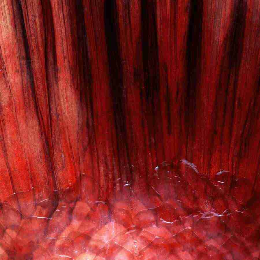 Meats and Fishes - Datacraft Isaijiten ></a>
<script language=JavaScript> 
  var txt = 