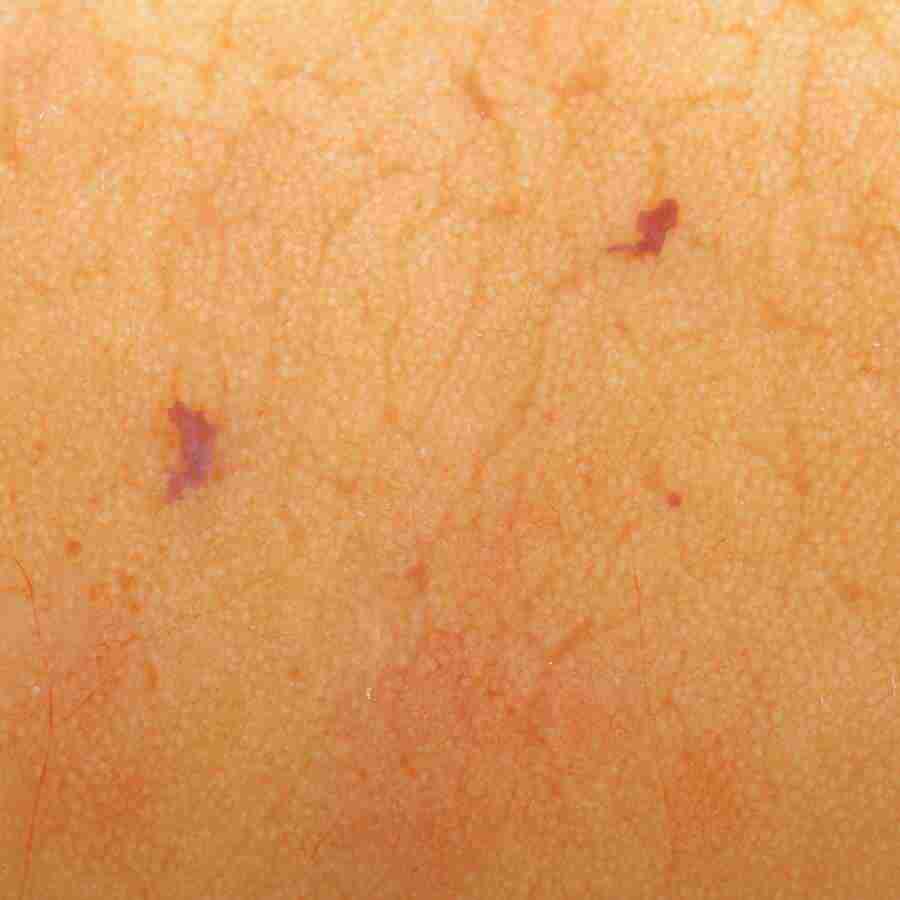 Meats and Fishes - Datacraft Isaijiten ></a>
<script language=JavaScript> 
  var txt = 