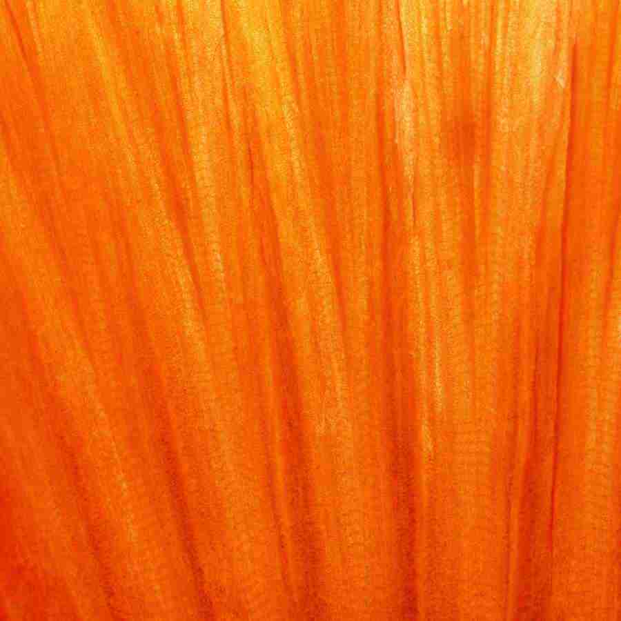 Meats and Fishes - Datacraft Isaijiten ></a>
<script language=JavaScript> 
  var txt = 