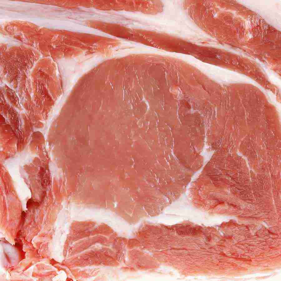 Meats and Fishes - Datacraft Isaijiten ></a>
<script language=JavaScript> 
  var txt = 