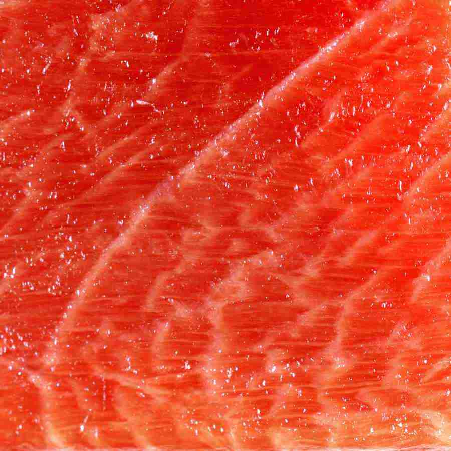 Meats and Fishes - Datacraft Isaijiten ></a>
<script language=JavaScript> 
  var txt = 