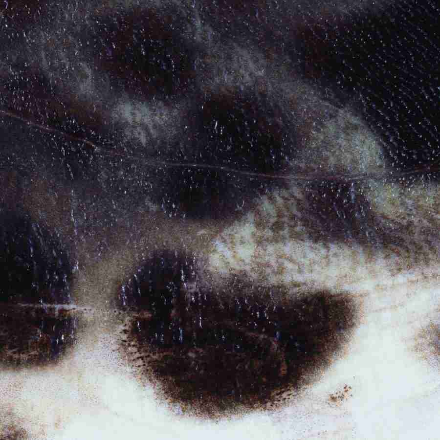 Meats and Fishes - Datacraft Isaijiten ></a>
<script language=JavaScript> 
  var txt = 