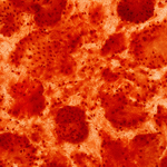 Datacraft Isaijiten: Rice and Bread 
