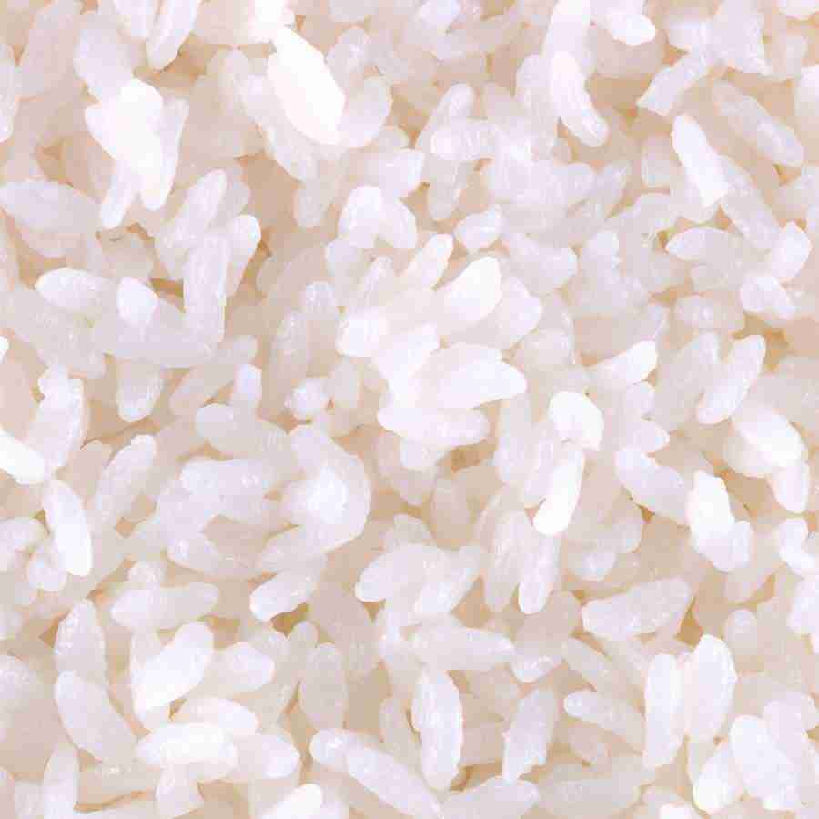 Rice and Bread - Datacraft Isaijiten ></a>
<script language=JavaScript> 
  var txt = 