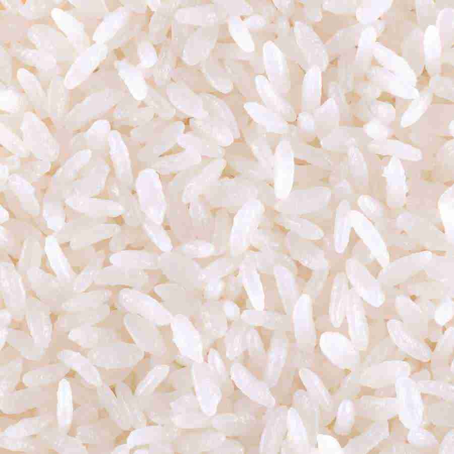 Rice and Bread - Datacraft Isaijiten ></a>
<script language=JavaScript> 
  var txt = 