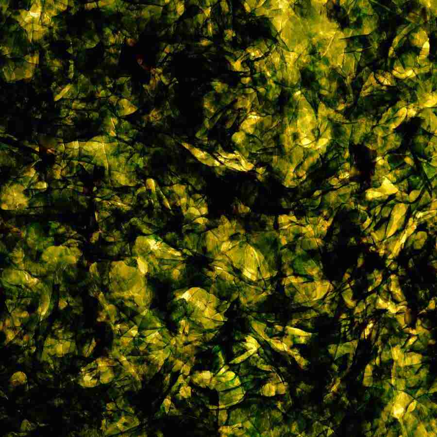 Rice and Bread - Datacraft Isaijiten ></a>
<script language=JavaScript> 
  var txt = 