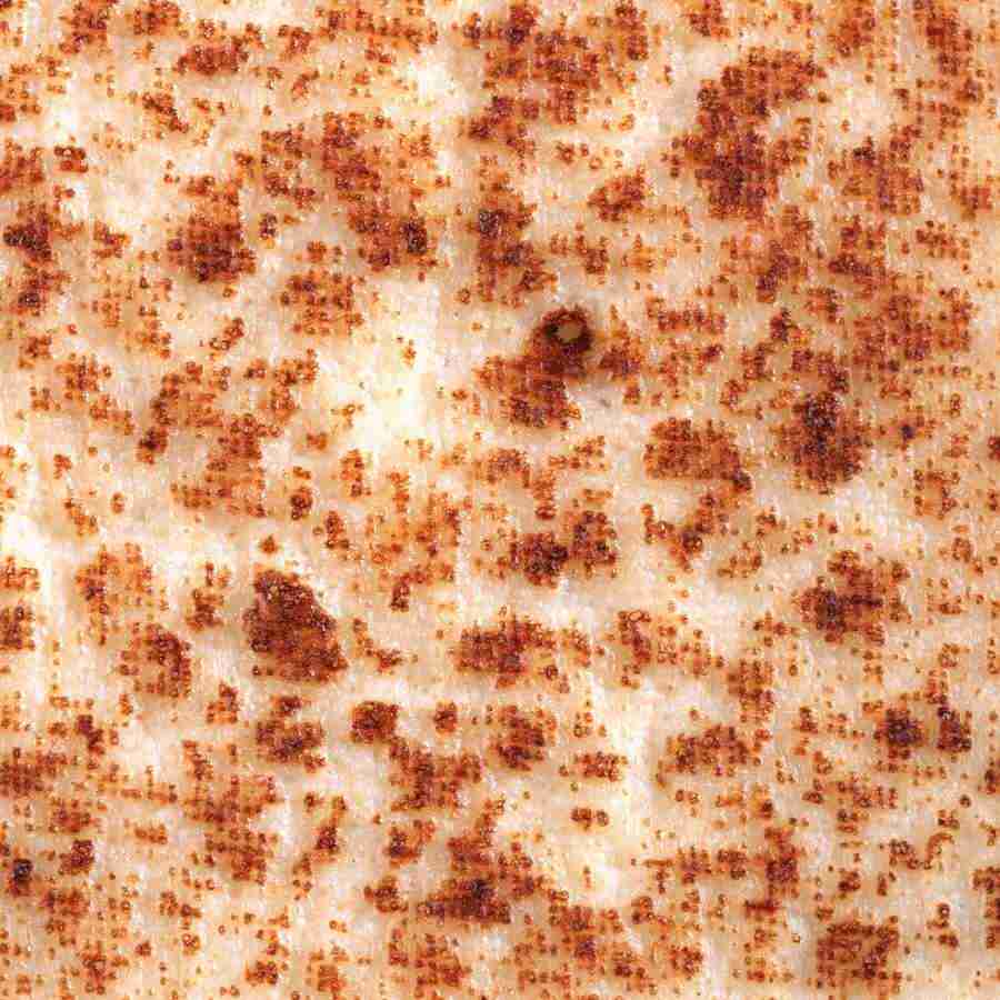 Rice and Bread - Datacraft Isaijiten ></a>
<script language=JavaScript> 
  var txt = 