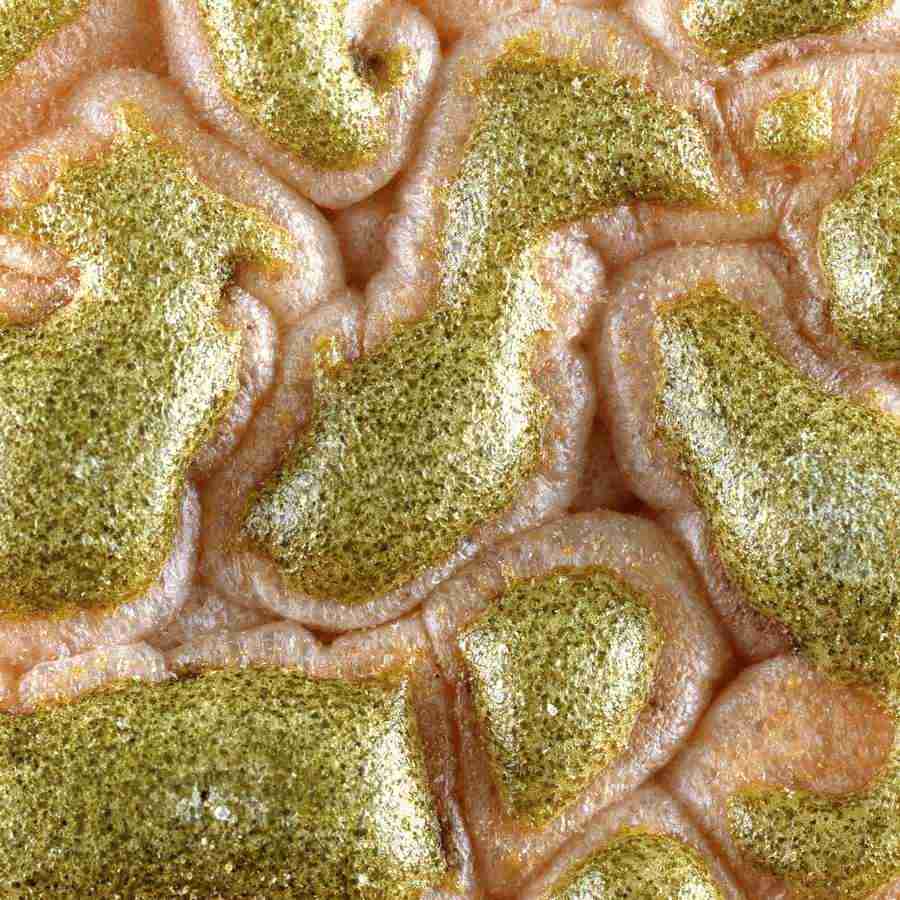 Rice and Bread - Datacraft Isaijiten ></a>
<script language=JavaScript> 
  var txt = 