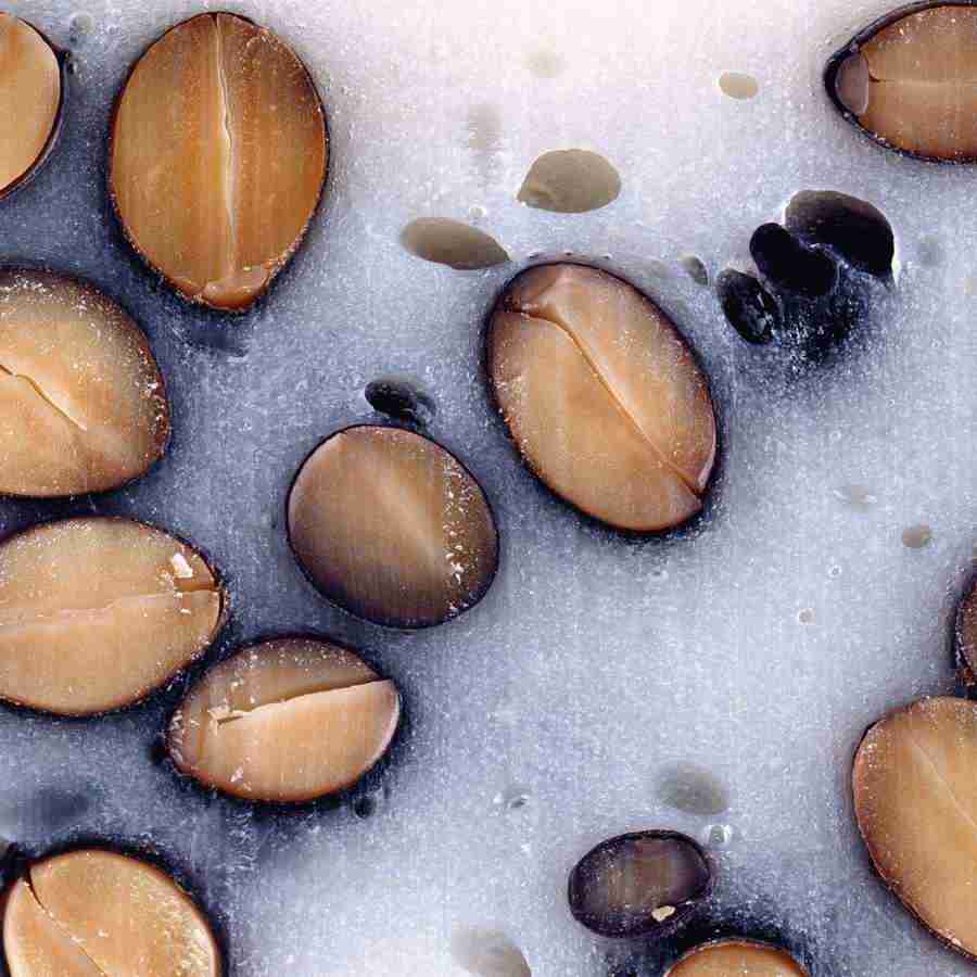 Rice and Bread - Datacraft Isaijiten ></a>
<script language=JavaScript> 
  var txt = 