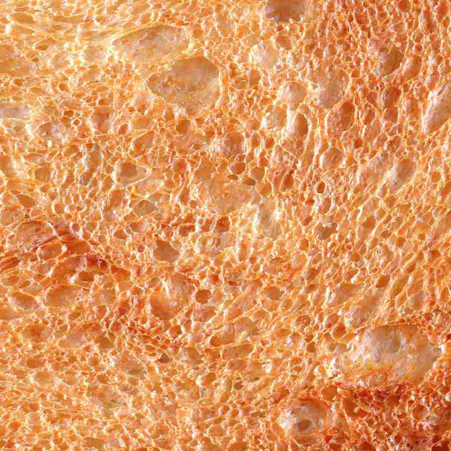 Rice and Bread - Datacraft Isaijiten ></a>
<script language=JavaScript> 
  var txt = 