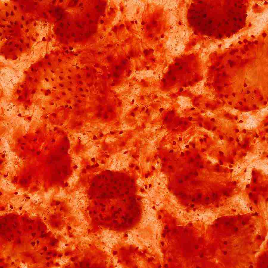 Rice and Bread - Datacraft Isaijiten ></a>
<script language=JavaScript> 
  var txt = 