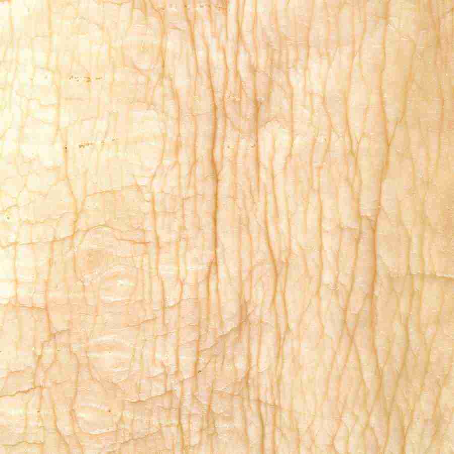 Rice and Bread - Datacraft Isaijiten ></a>
<script language=JavaScript> 
  var txt = 