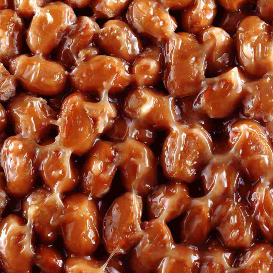 Rice and Bread - Datacraft Isaijiten ></a>
<script language=JavaScript> 
  var txt = 