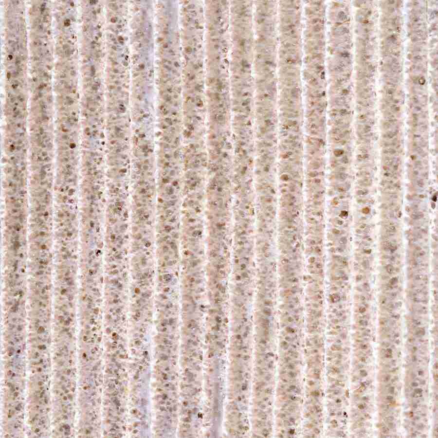 Rice and Bread - Datacraft Isaijiten ></a>
<script language=JavaScript> 
  var txt = 