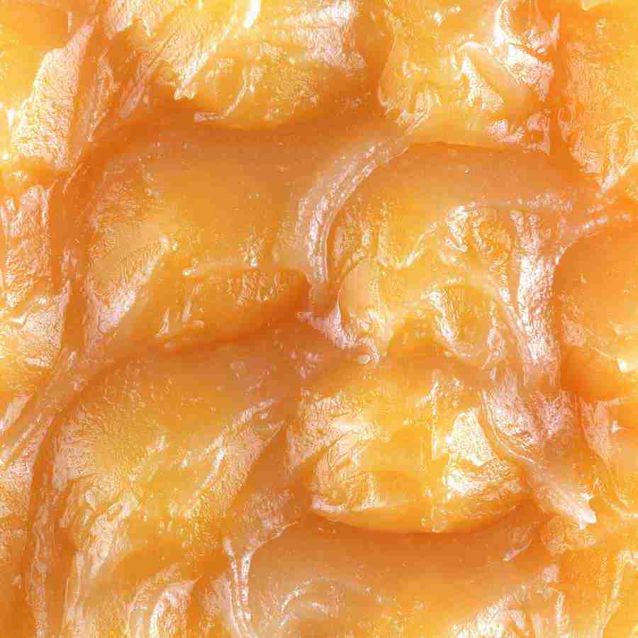 Rice and Bread - Datacraft Isaijiten ></a>
<script language=JavaScript> 
  var txt = 