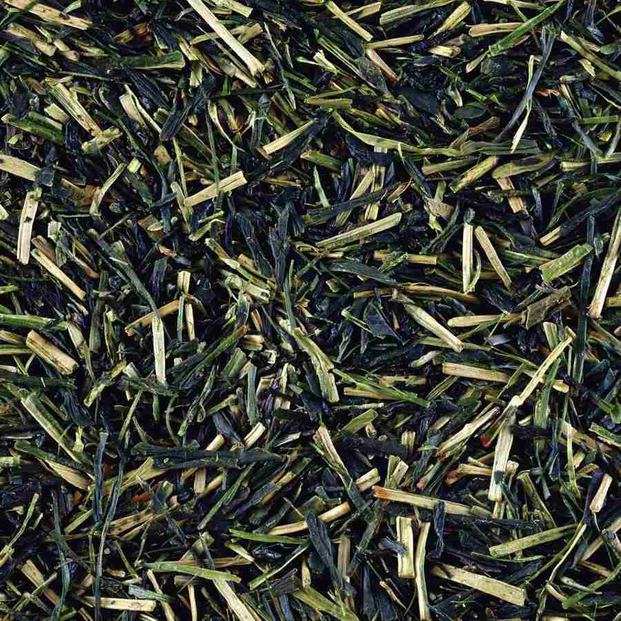 Rice and Bread - Datacraft Isaijiten ></a>
<script language=JavaScript> 
  var txt = 