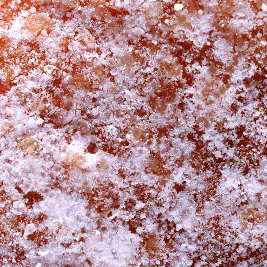 Rice and Bread - Datacraft Isaijiten ></a>
<script language=JavaScript> 
  var txt = 