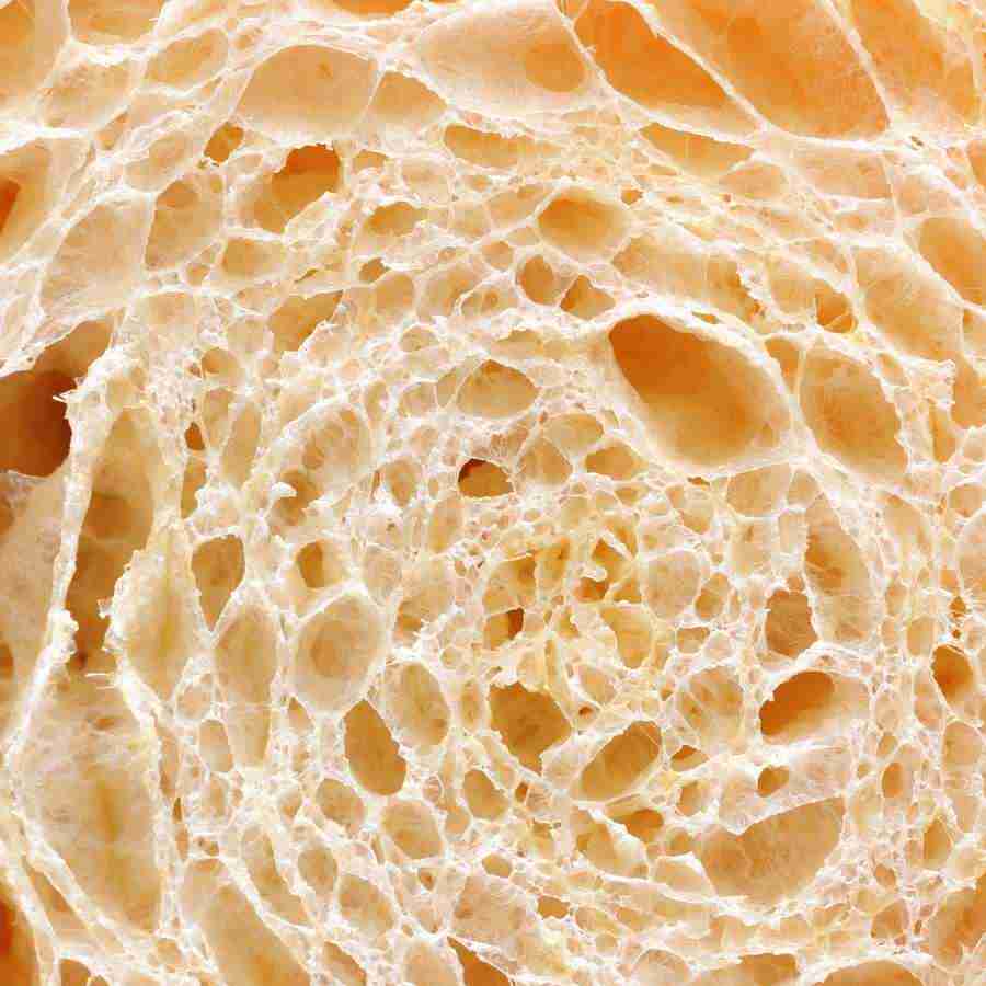Rice and Bread - Datacraft Isaijiten ></a>
<script language=JavaScript> 
  var txt = 