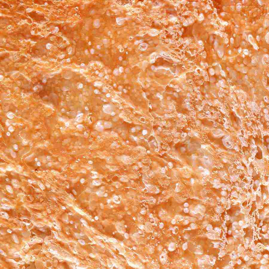 Rice and Bread - Datacraft Isaijiten ></a>
<script language=JavaScript> 
  var txt = 