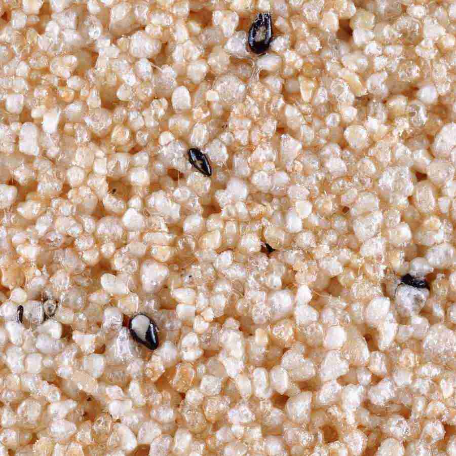 Rice and Bread - Datacraft Isaijiten ></a>
<script language=JavaScript> 
  var txt = 