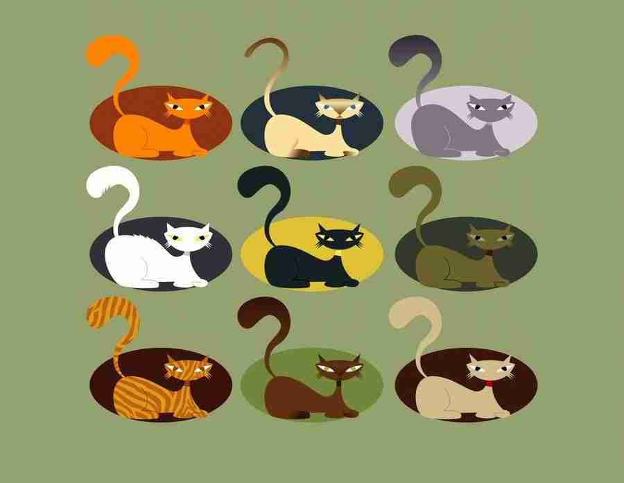 The Mode - Dex Illustration World ></a>
<script language=JavaScript> 
  var txt = 