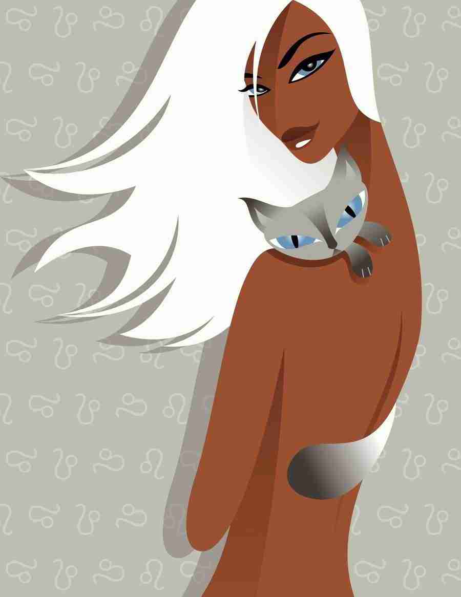 The Mode - Dex Illustration World ></a>
<script language=JavaScript> 
  var txt = 