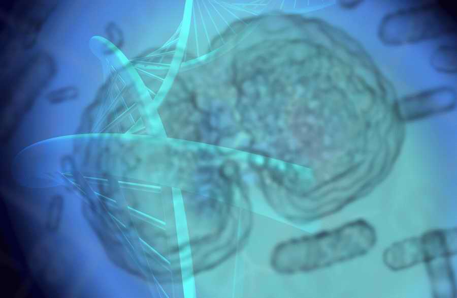 medicalIMPACT - Digital Juice JuiceDrop ></a>
<script language=JavaScript> 
  var txt = 