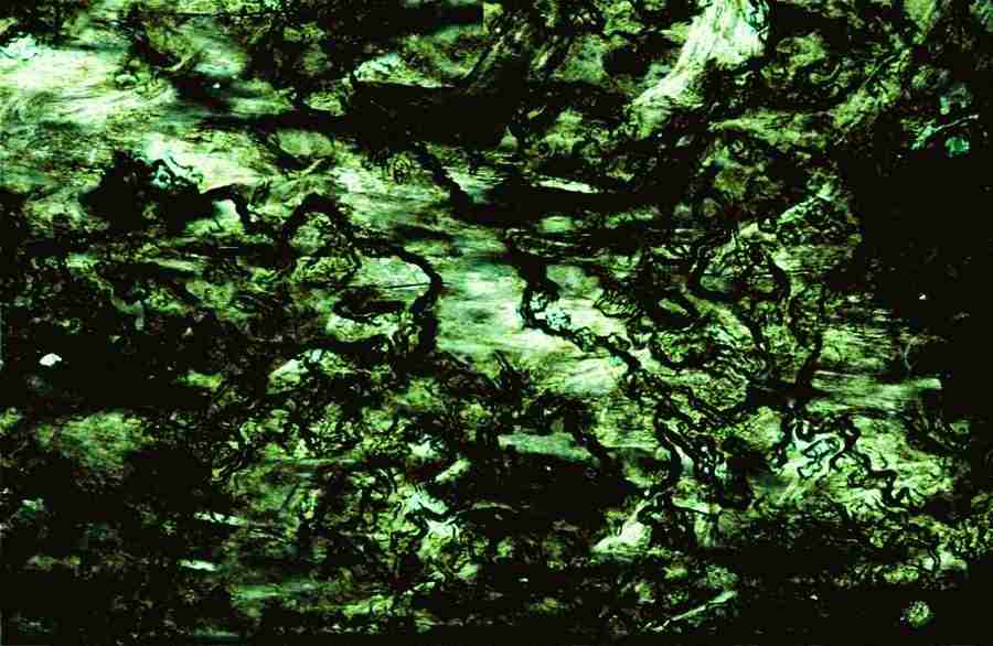 ultraGRUNGE - Digital Juice JuiceDrop ></a>
<script language=JavaScript> 
  var txt = 