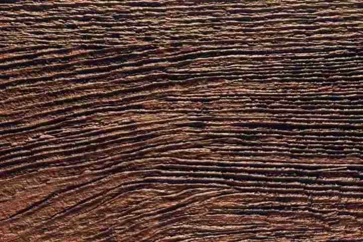 Cool Textures - Digital Juice Presentation Library ></a>
<script language=JavaScript> 
  var txt = 