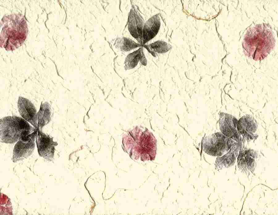 Exotic Paper - Digital Juice Presentation Library ></a>
<script language=JavaScript> 
  var txt = 
