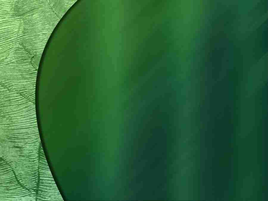 JuiceDrops - Digital Juice Presentation Library ></a>
<script language=JavaScript> 
  var txt = 