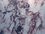 Digital Juice Presentation Library: Marble and Granite 