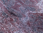 Digital Juice Presentation Library: Marble and Granite 