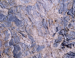 Digital Juice Presentation Library: Marble and Granite 