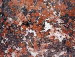 Digital Juice Presentation Library: Marble and Granite 