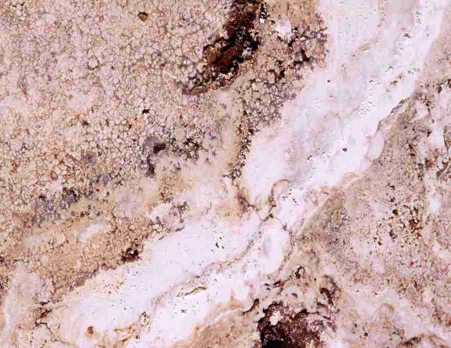 Marble and Granite - Digital Juice Presentation Library ></a>
<script language=JavaScript> 
  var txt = 