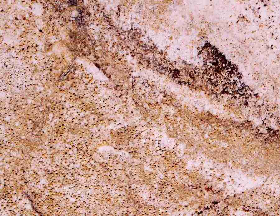 Marble and Granite - Digital Juice Presentation Library ></a>
<script language=JavaScript> 
  var txt = 