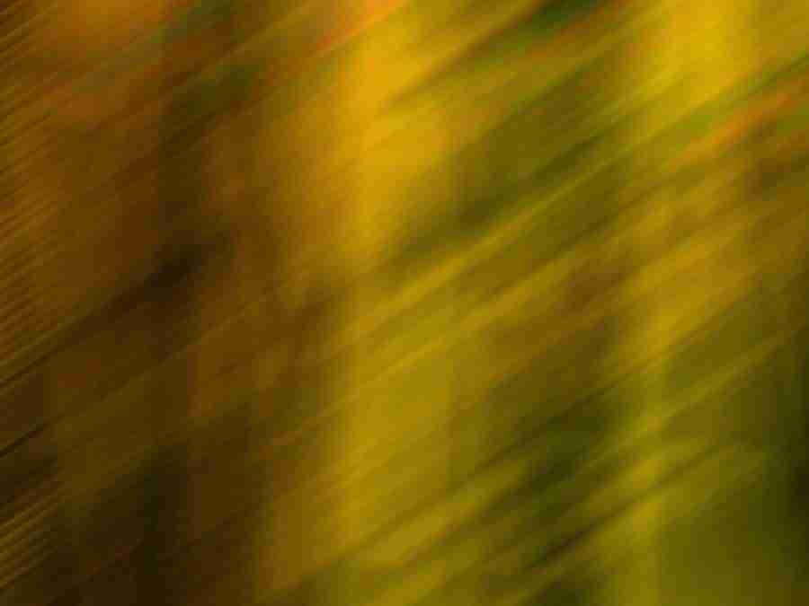 Power Abstracts - Digital Juice Presentation Library ></a>
<script language=JavaScript> 
  var txt = 